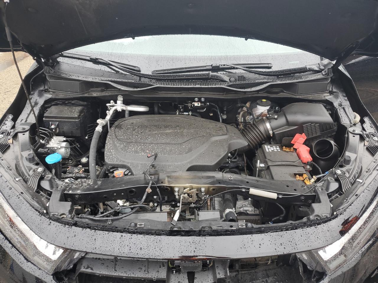 2025 Honda Odyssey Exl VIN: 5FNRL6H61SB069682 Lot: 66191185