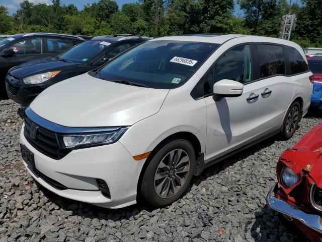 2023 Honda Odyssey Exl
