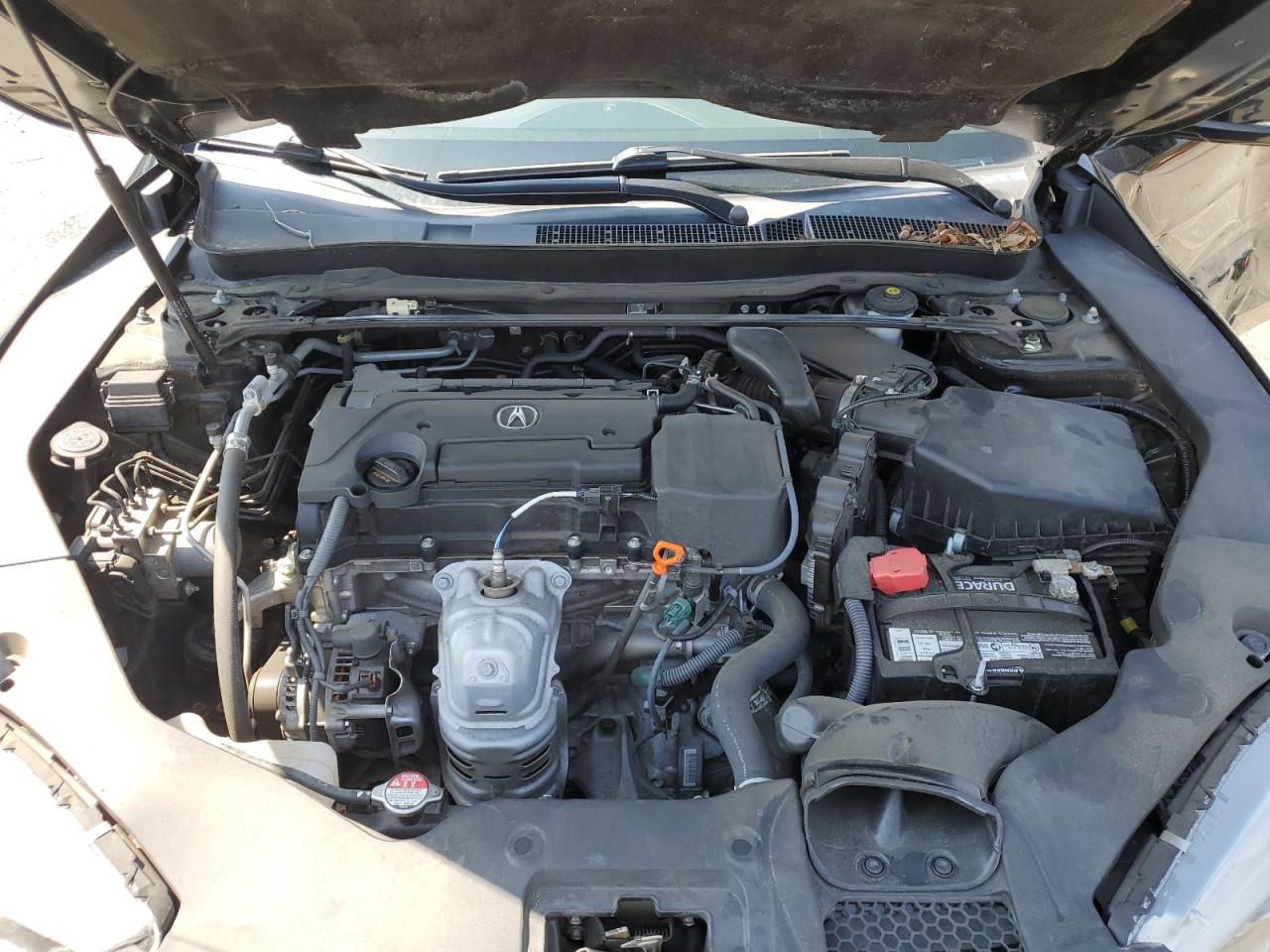 19uub1f32la006563 19UUB1F32LA006563 2020 Acura Tlx