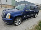 2012 CADILLAC ESCALADE ESV LUXURY   for sale at Copart NE - LINCOLN