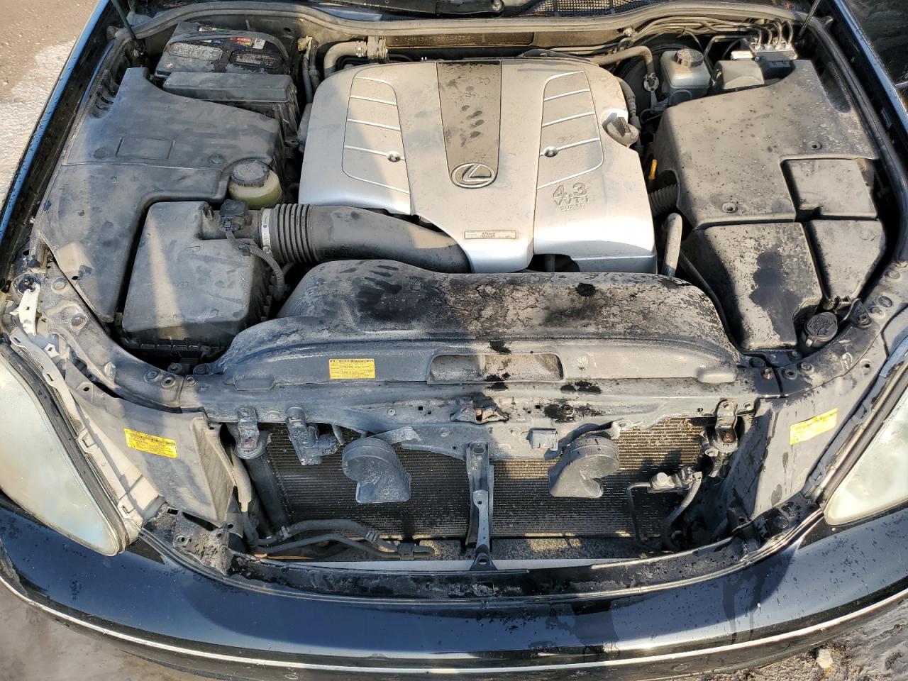 2005 Lexus Ls 430 VIN: JTHBN36F255004356 Lot: 64833135