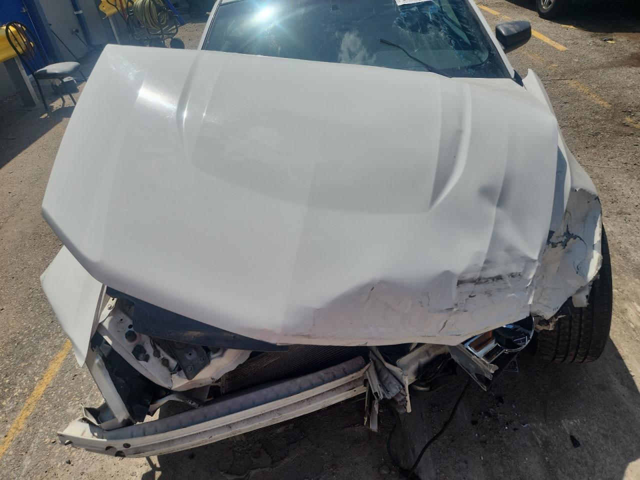 2010 Ford Mustang VIN: 1ZVBP8ENXA5167135 Lot: 64781465