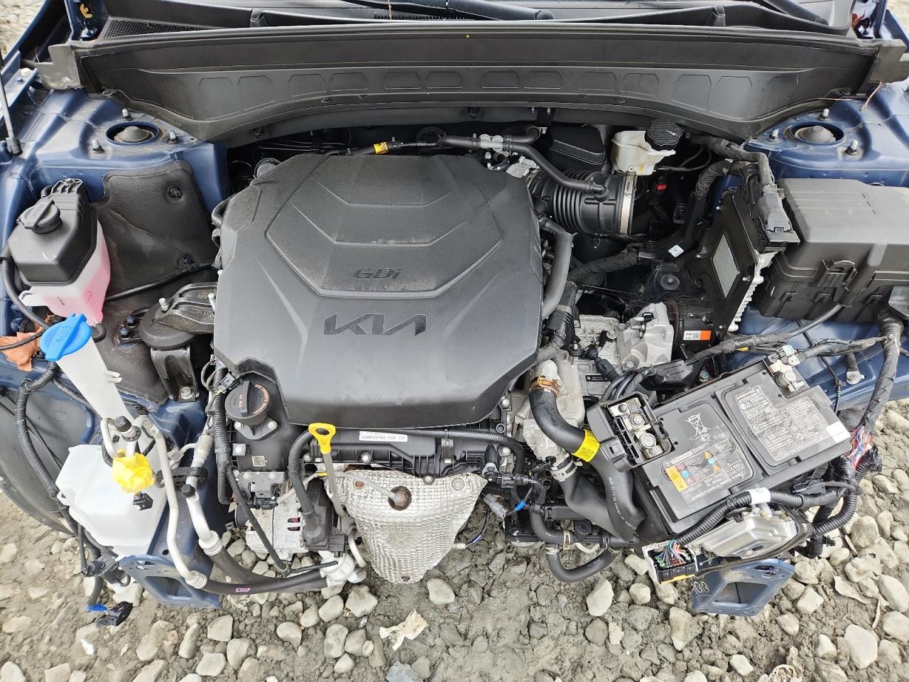 2024 Kia Telluride Sx VIN: 5XYP5DGCXRG421366 Lot: 64772655