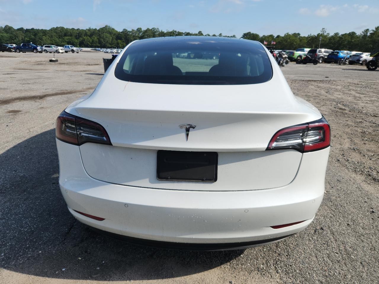 2022 Tesla Model 3 VIN: 5YJ3E1EA5NF287303 Lot: 64316785