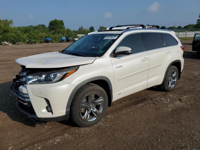  TOYOTA HIGHLANDER 2019 Biały