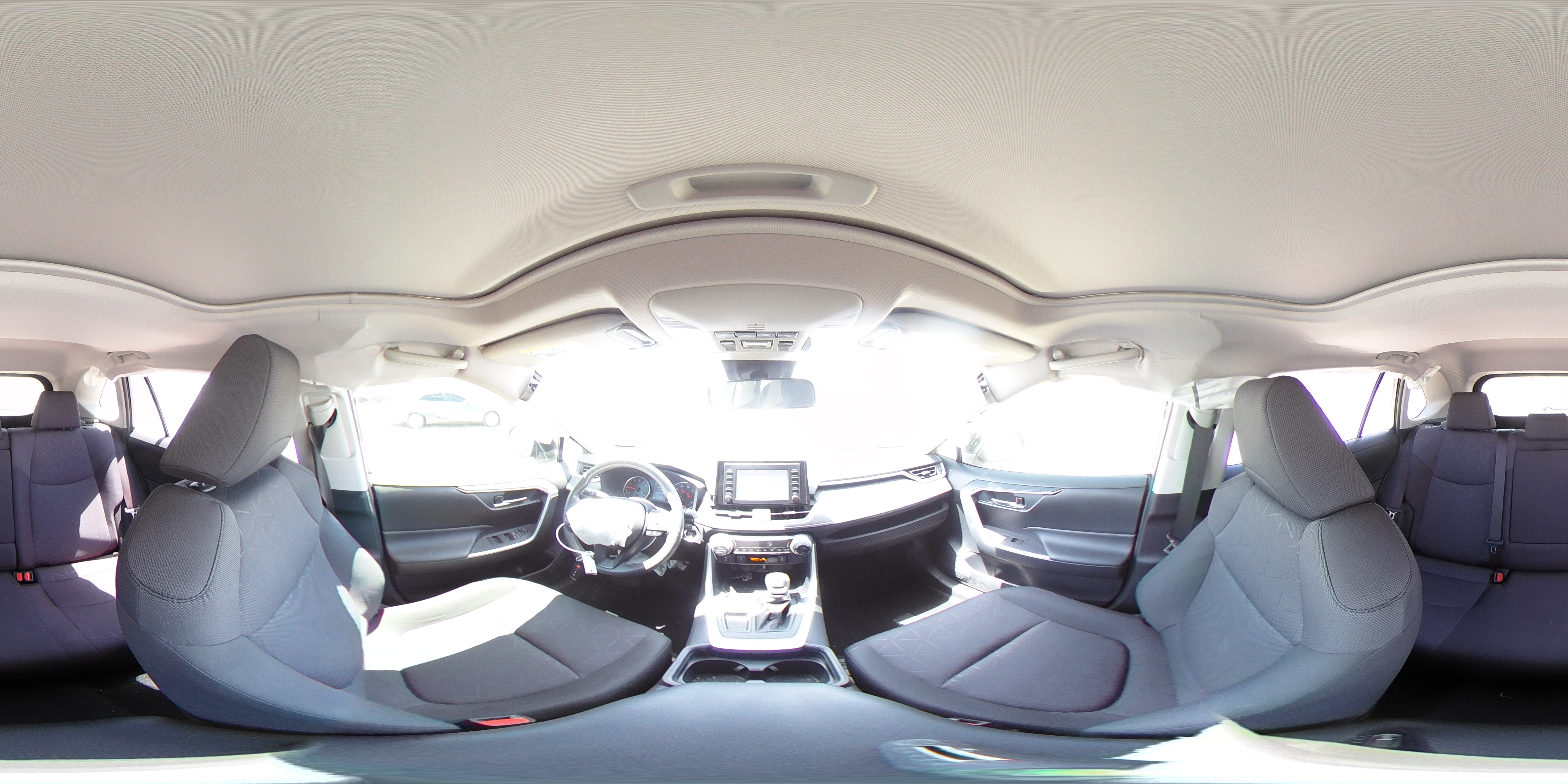 2019 Toyota Rav4 Xle VIN: JTMW1RFV2KD024391 Lot: 65247955