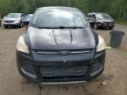 2013 FORD ESCAPE SE   for sale at Copart ON - COOKSTOWN