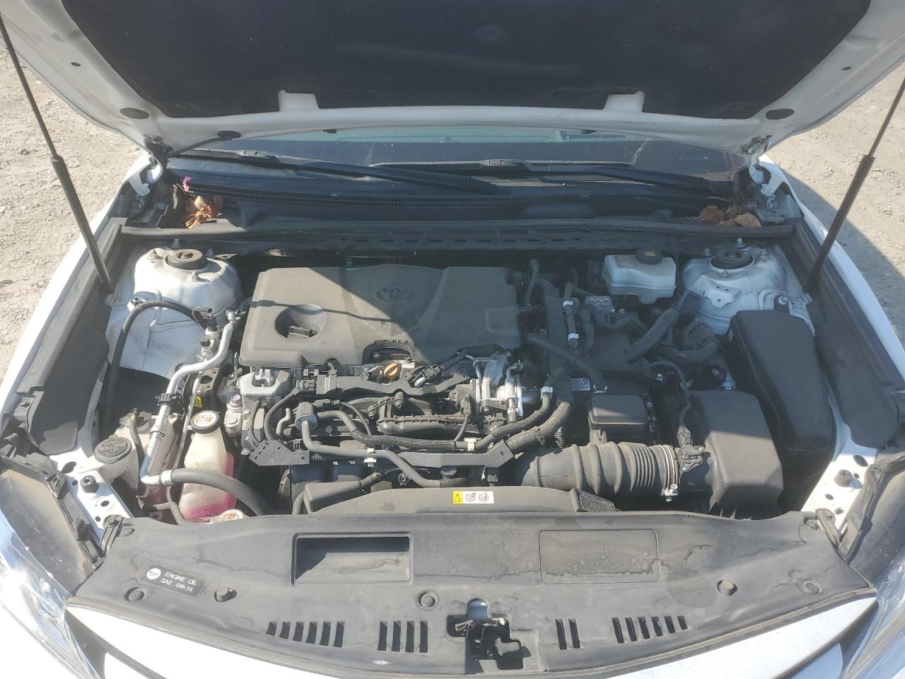 2019 Toyota Camry Hybrid VIN: 4T1B21HK1KU519516 Lot: 64476955