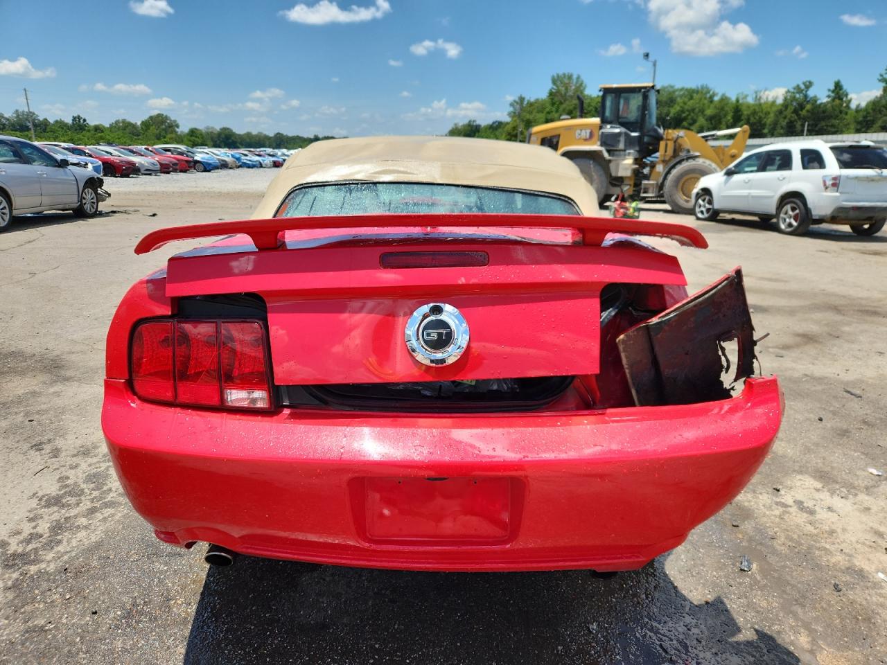 2009 Ford Mustang Gt VIN: 1ZVHT85H795109897 Lot: 64813875
