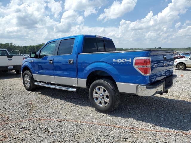 Pickups FORD F-150 2013 Granatowy