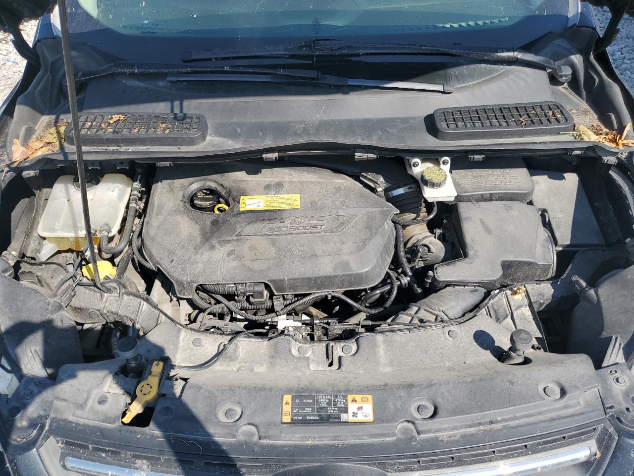 1FMCU0GX5EUB69236 2014 Ford Escape Se