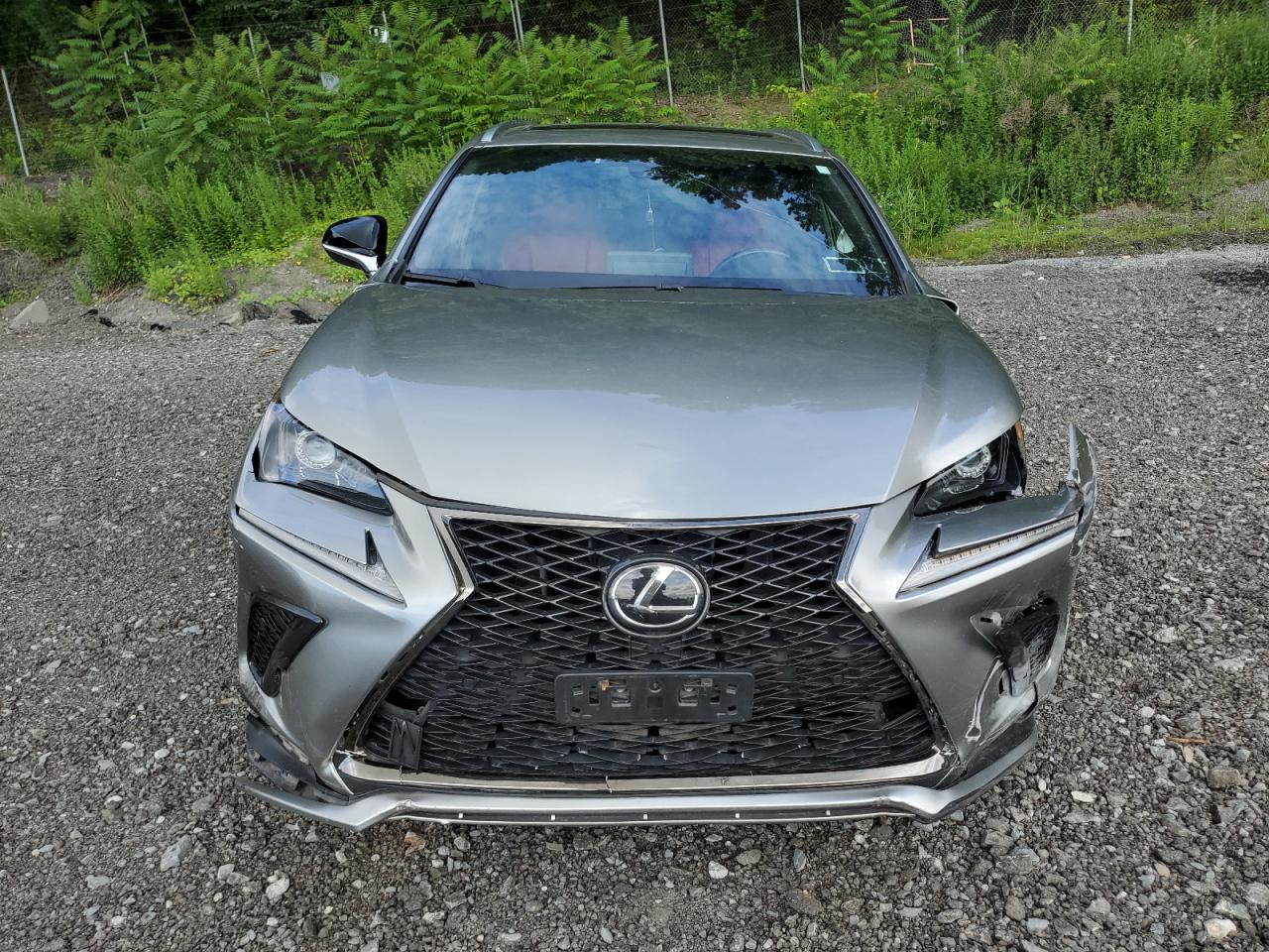 2021 Lexus Nx 300 Base VIN: JTJSARDZ1M2246159 Lot: 62236145