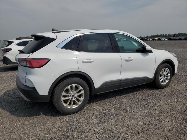 FORD ESCAPE 2020 White