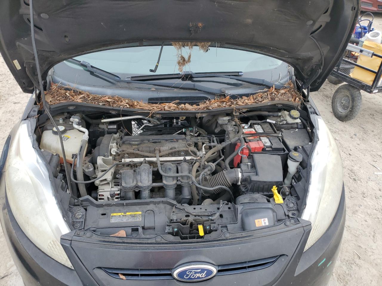 2011 Ford Fiesta Ses VIN: 3FADP4FJ1BM161869 Lot: 63496575
