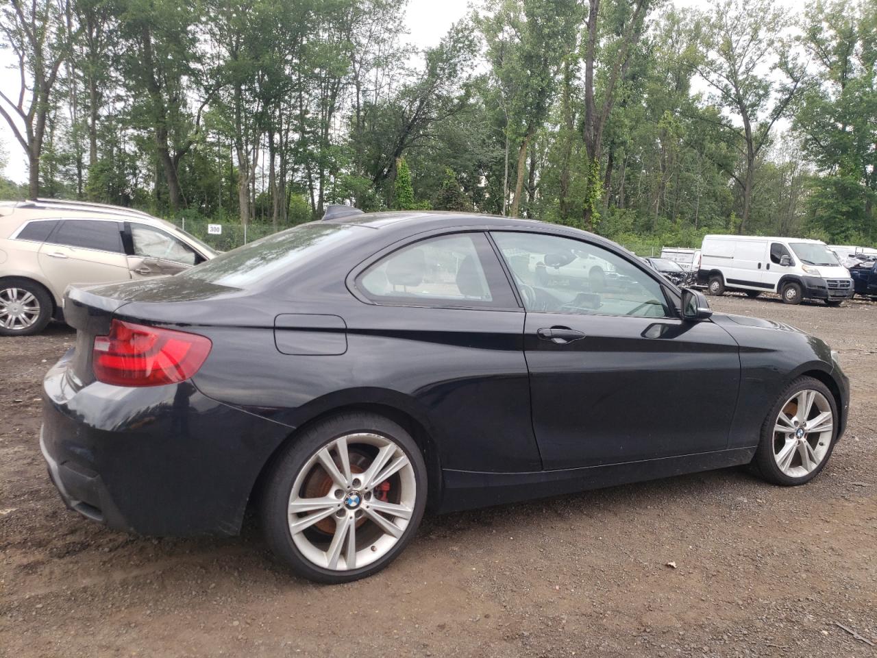 2015 BMW 228 Xi VIN: WBA1F7C56FVX96295 Lot: 65166865