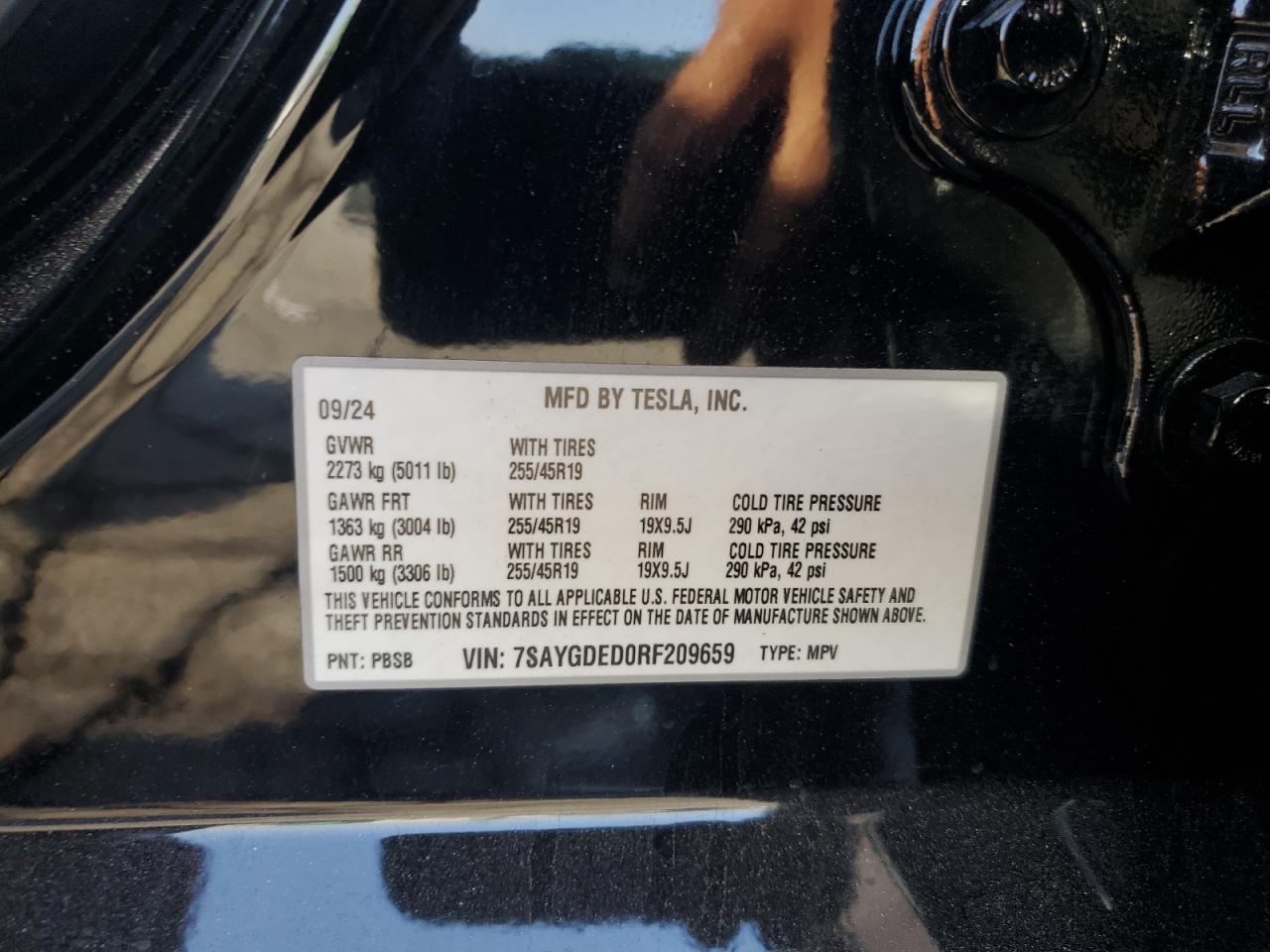 2024 Tesla Model Y VIN: 7SAYGDED0RF209659 Lot: 63463305