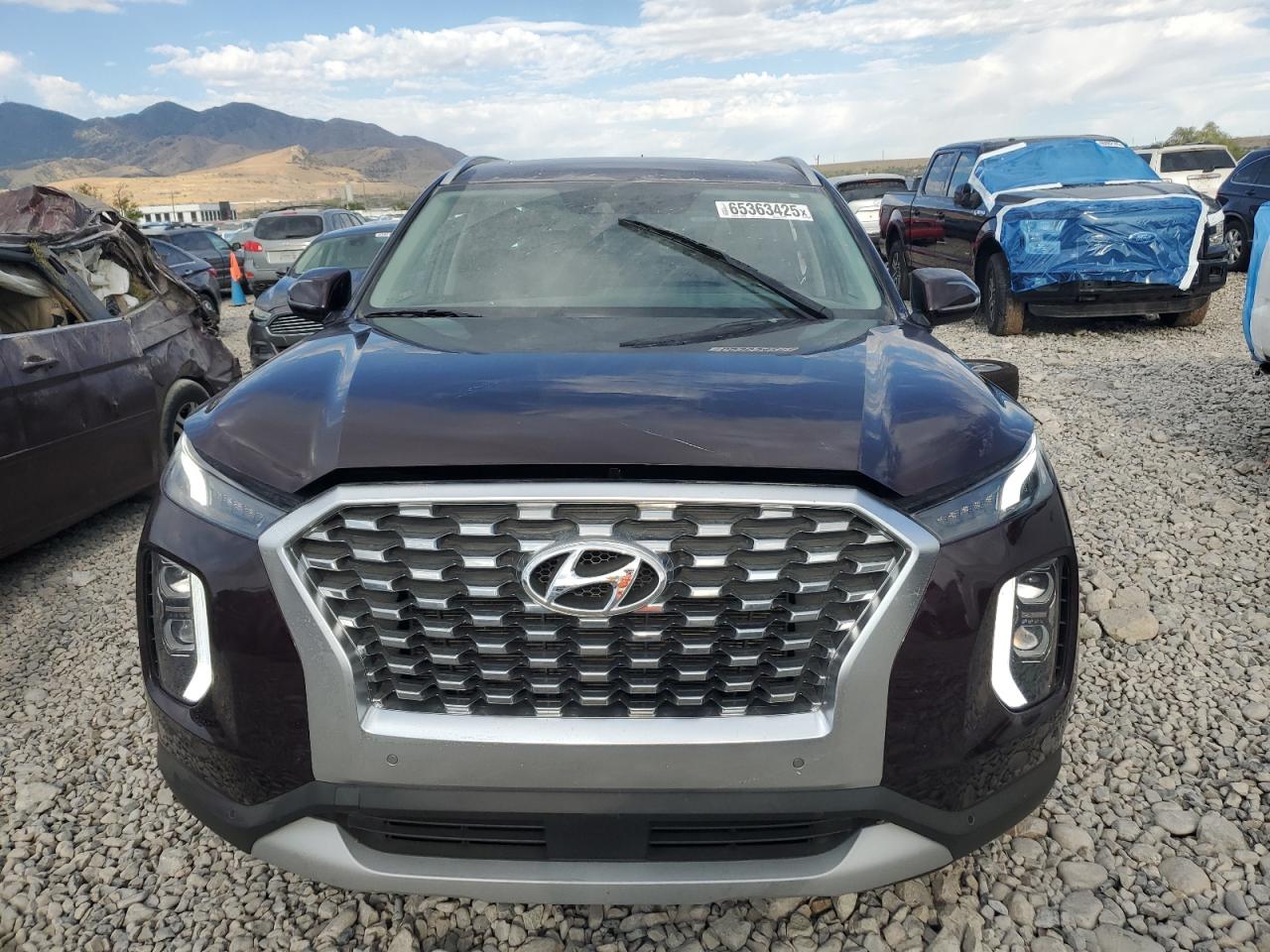 2020 Hyundai Palisade Sel VIN: KM8R4DHE7LU093501 Lot: 65363425