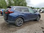 2020 HONDA CR-V EXL   à vendre chez Copart ON - COOKSTOWN