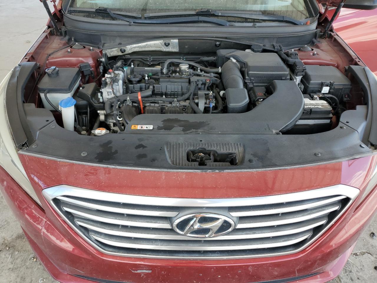 2016 Hyundai Sonata Se VIN: 5NPE24AF4GH372884 Lot: 65647885