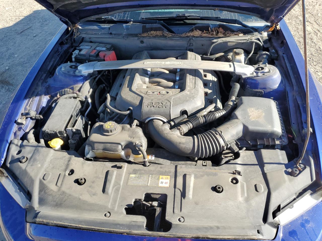 2013 Ford Mustang Gt VIN: 1ZVBP8FF3D5243189 Lot: 64963375