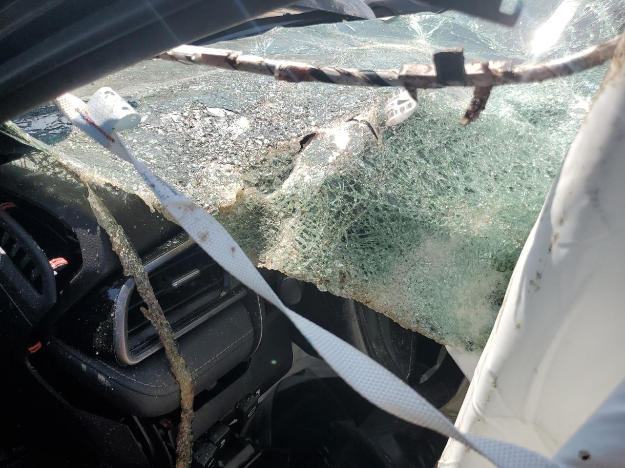 2019 Toyota Camry Xse VIN: 4T1B61HKXKU846128 Lot: 65191035