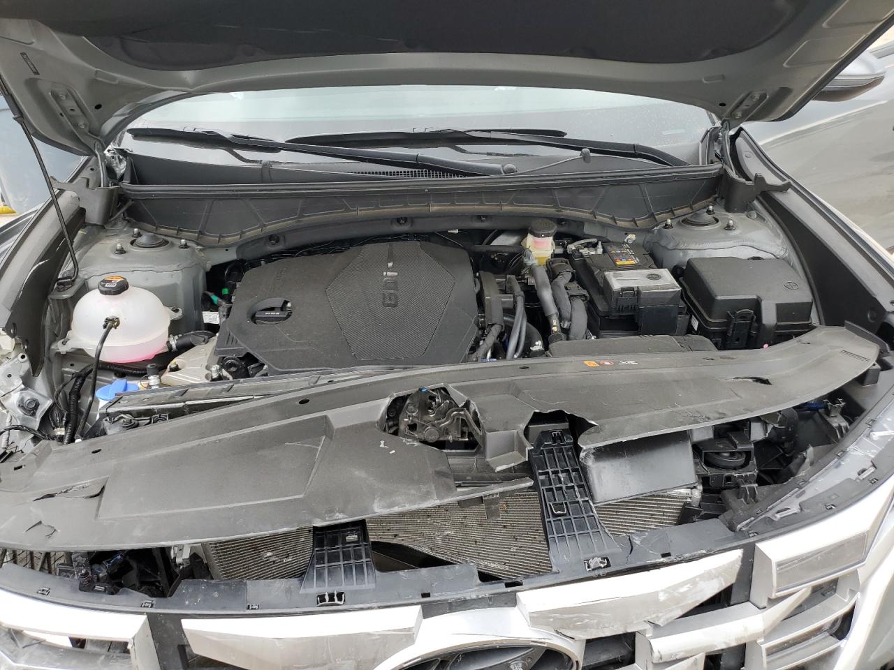 2024 Hyundai Santa Cruz Sel VIN: 5NTJCDAEXRH092782 Lot: 63643355