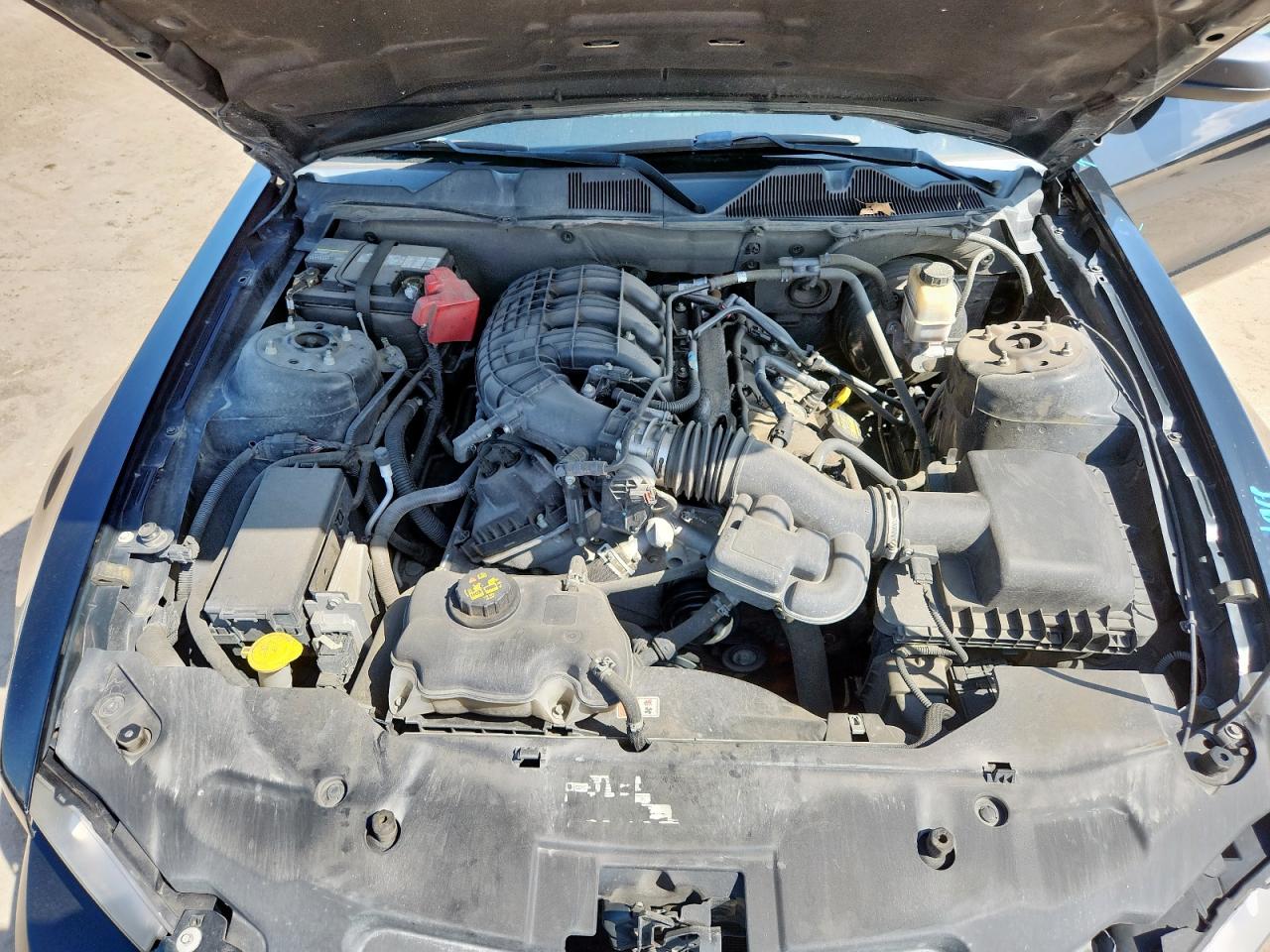 2012 Ford Mustang VIN: 1ZVBP8AM3C5214411 Lot: 64656115
