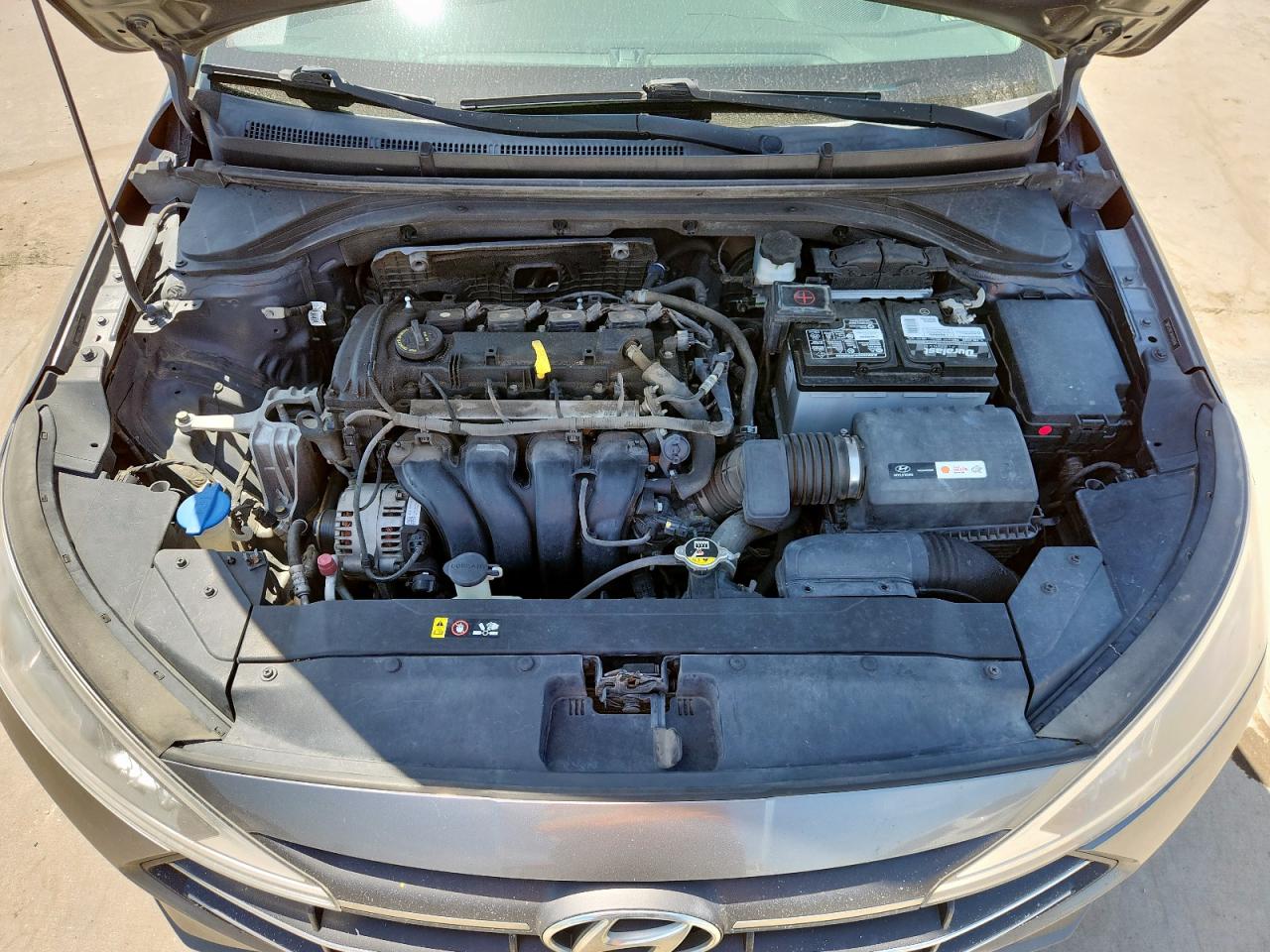 2019 Hyundai Elantra Se VIN: 5NPD74LF7KH406996 Lot: 63265615