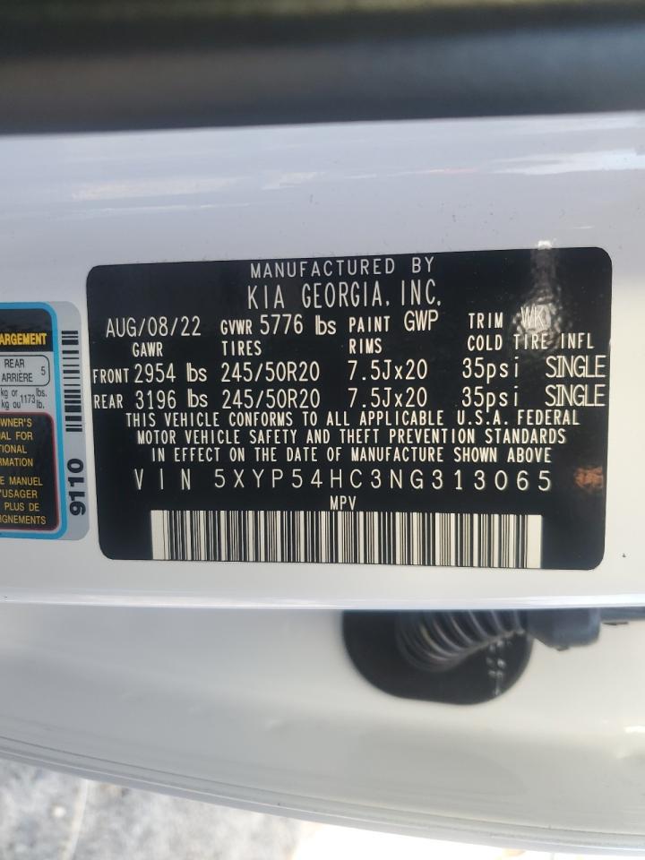 2022 Kia Telluride Sx VIN: 5XYP54HC3NG313065 Lot: 64785785