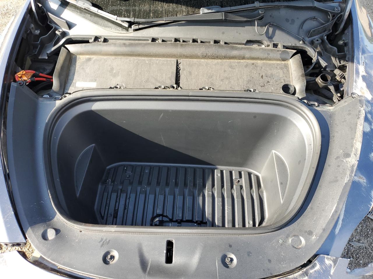 2022 Tesla Model Y VIN: 7SAYGDEF8NF546690 Lot: 66385595