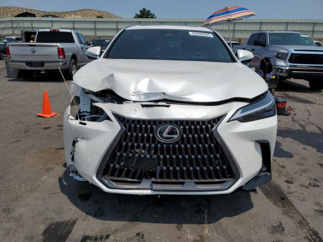  LEXUS NX 350H BA 2024 Biały