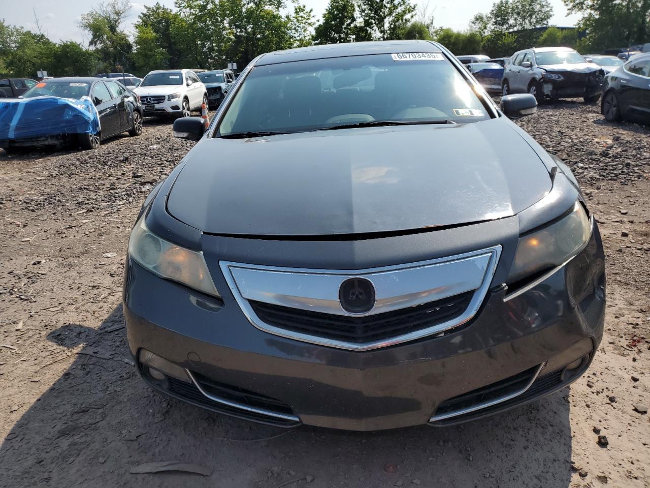 2012 Acura Tl VIN: 19UUA8F27CA028562 Lot: 66703435