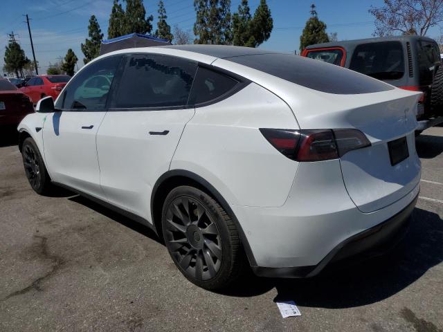  TESLA MODEL Y 2021 Biały