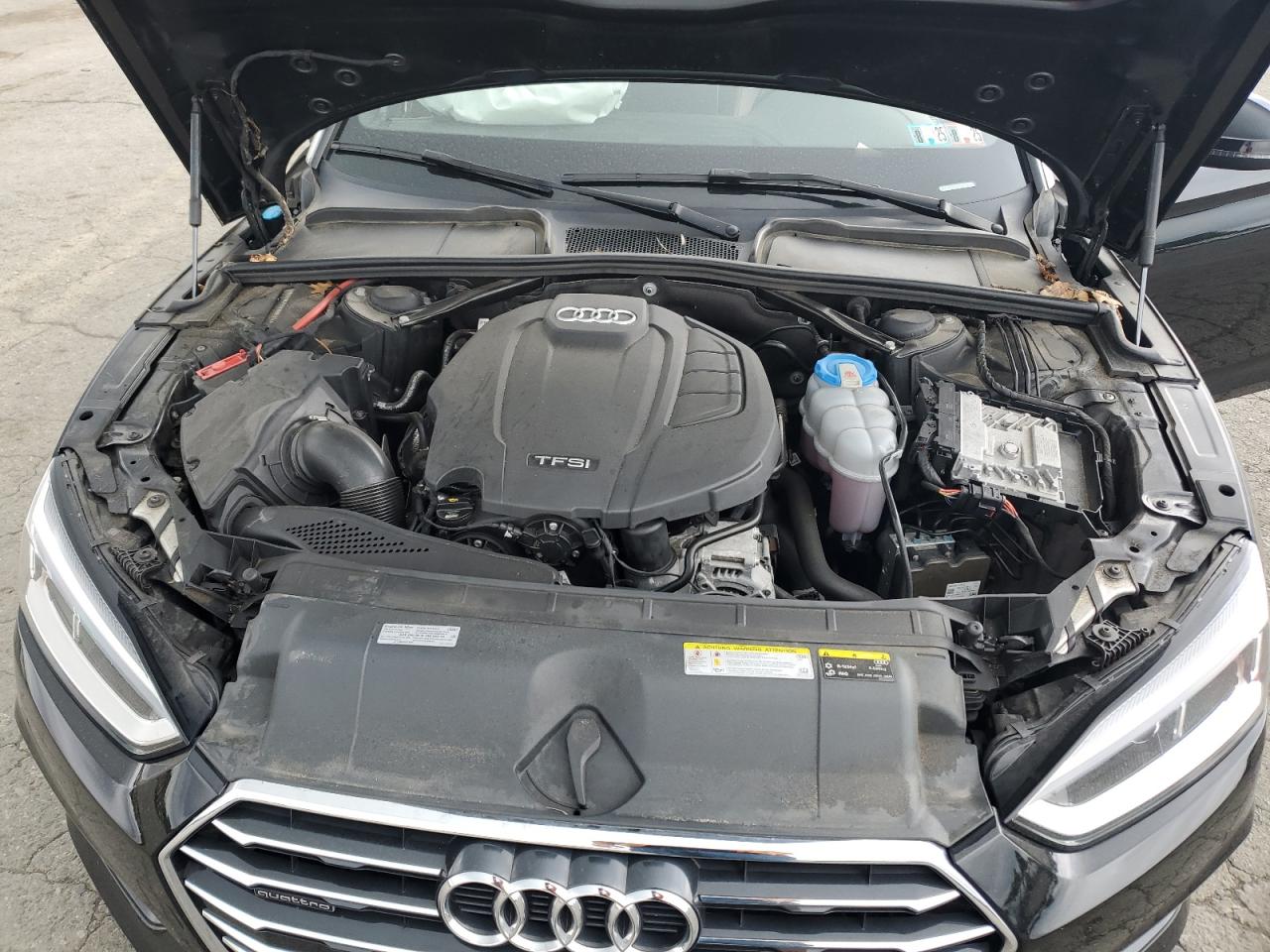 2019 Audi A5 Premium Plus VIN: WAUYNGF55KN001292 Lot: 64242955