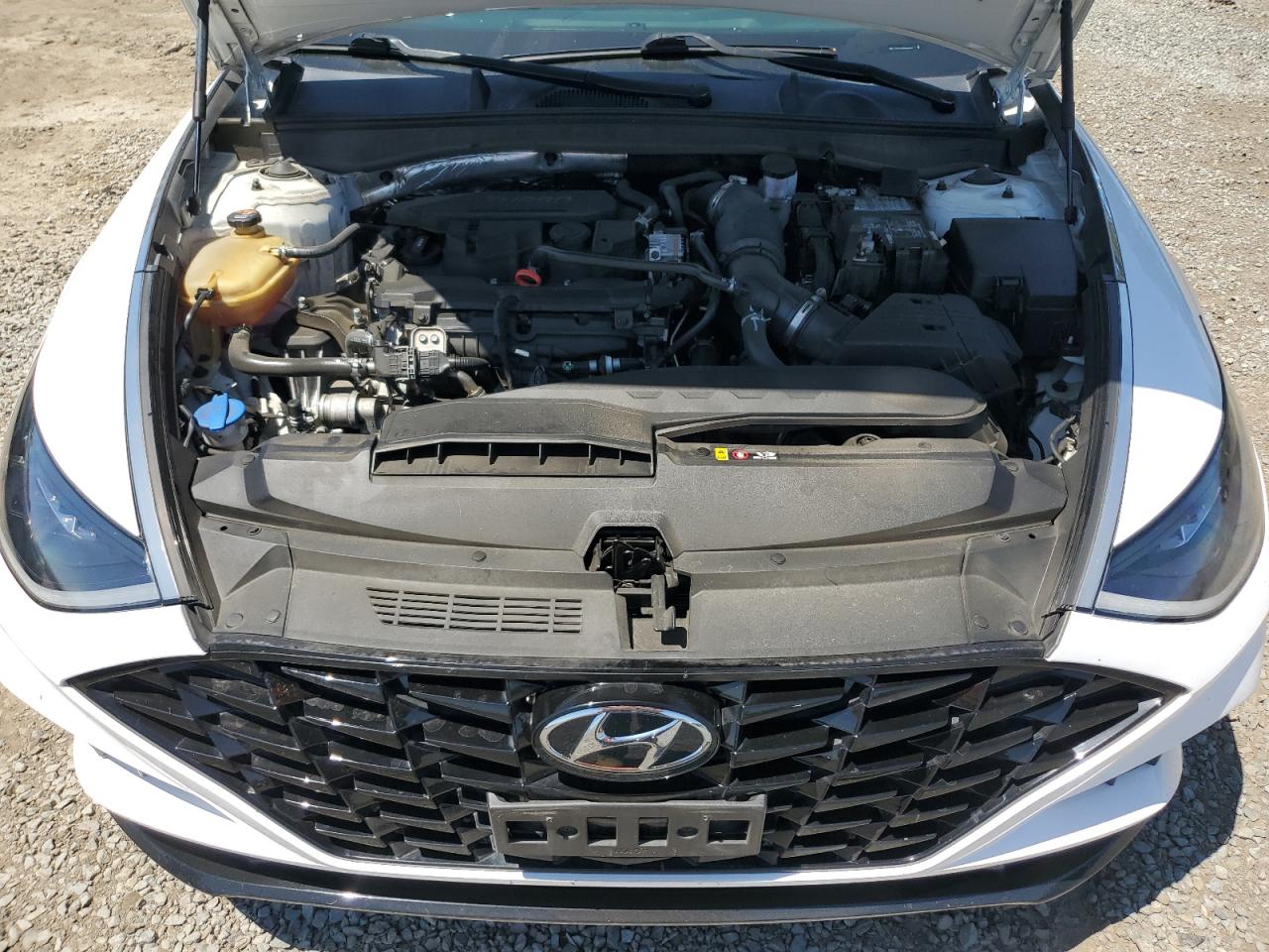 2021 Hyundai Sonata Sel Plus VIN: 5NPEJ4J25MH132271 Lot: 64424165