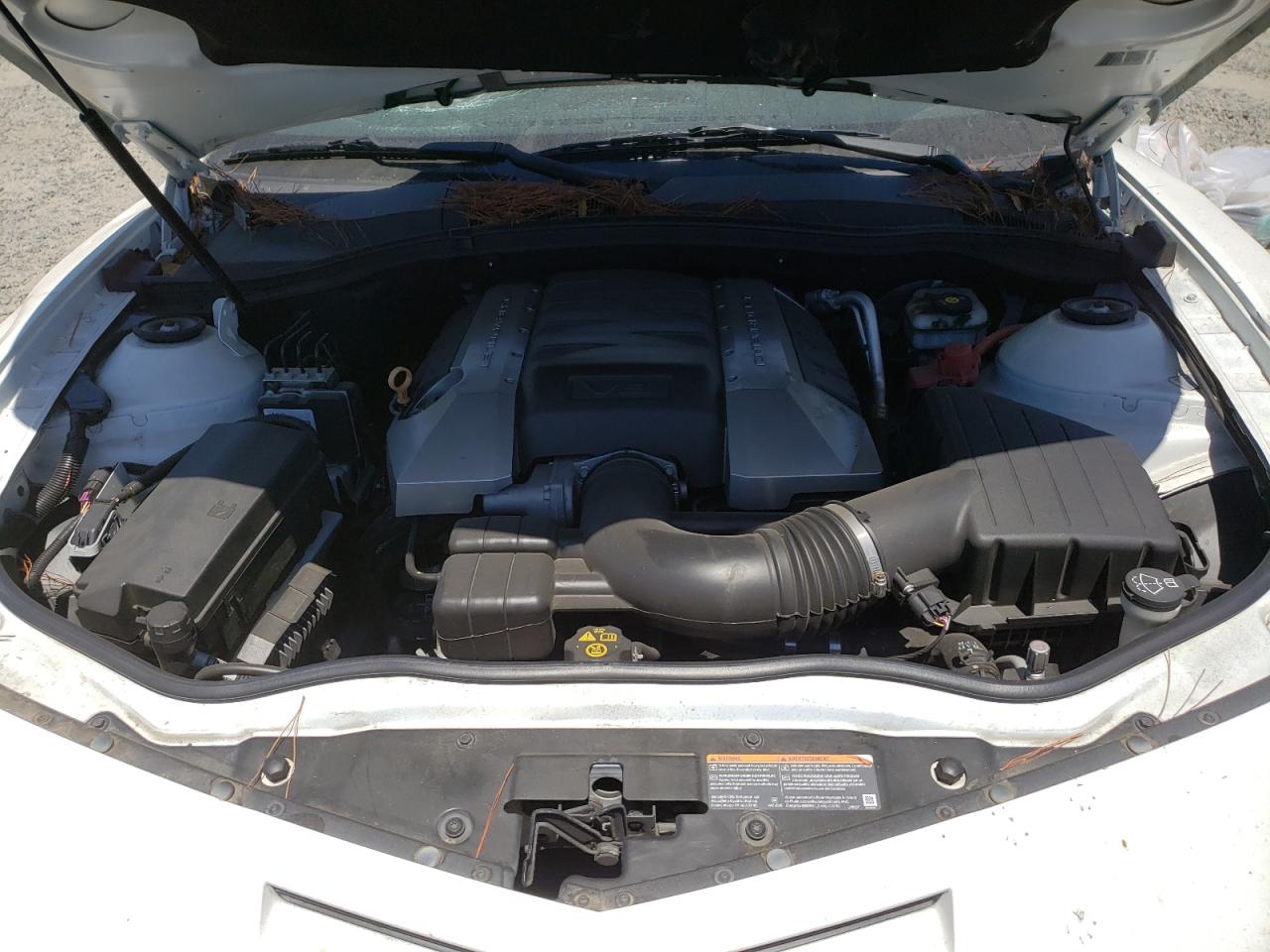 2010 Chevrolet Camaro Ss VIN: 2G1FK1EJ3A9194213 Lot: 65573945