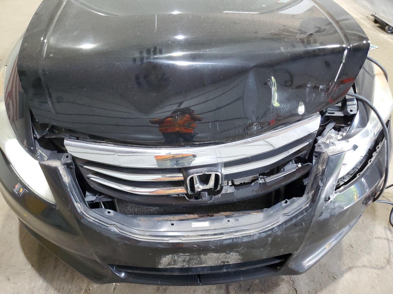 2012 Honda Accord Se VIN: 1HGCP2F60CA204331 Lot: 64976625