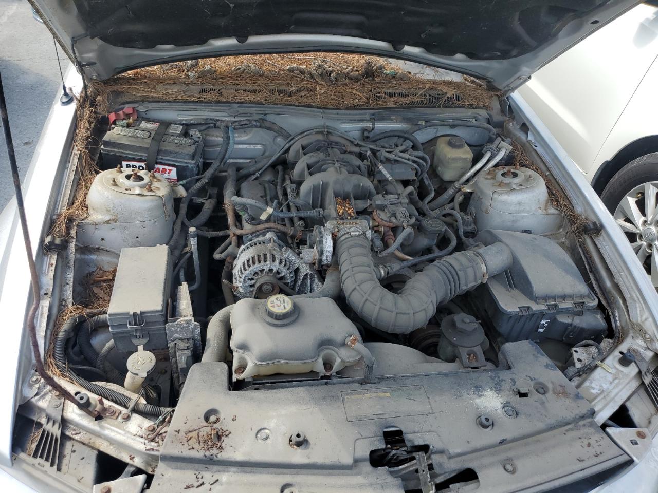 2008 Ford Mustang VIN: 1ZVHT80N185124729 Lot: 65571195