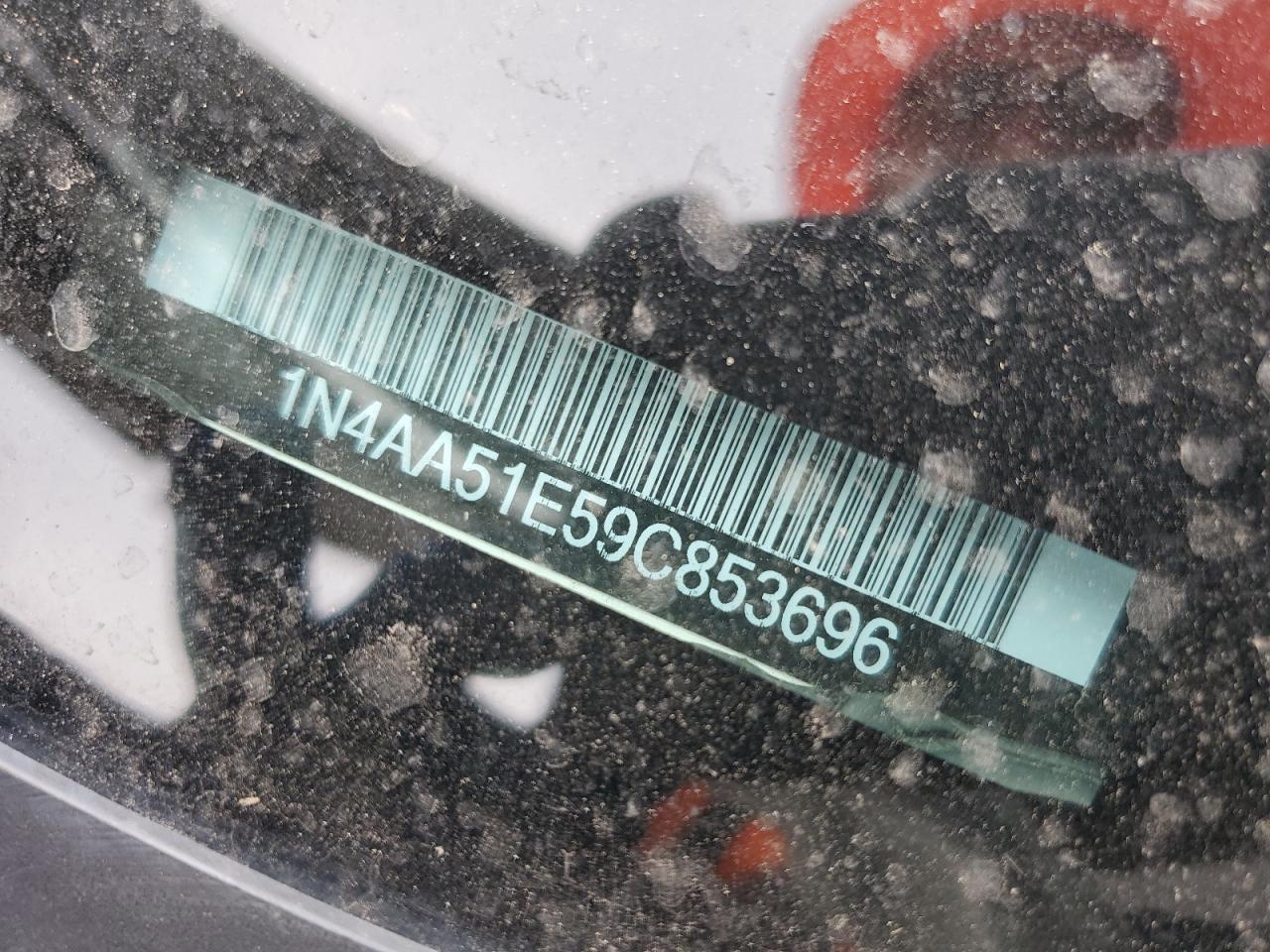 2009 Nissan Maxima S VIN: 1N4AA51E59C853696 Lot: 62894675