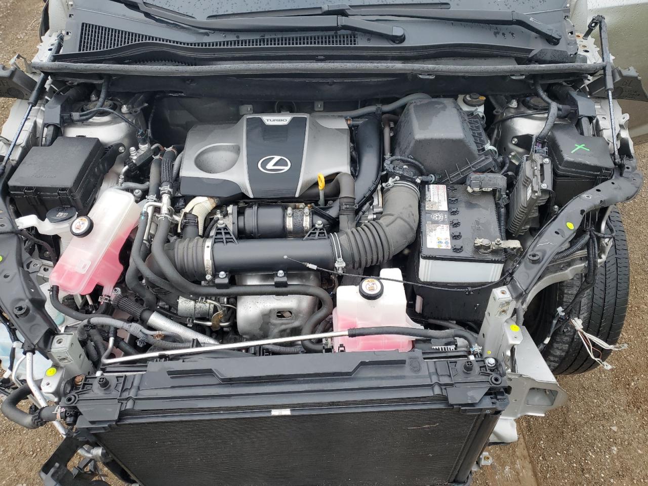 2020 Lexus Nx 300 VIN: JTJDARDZXL5015637 Lot: 64576755