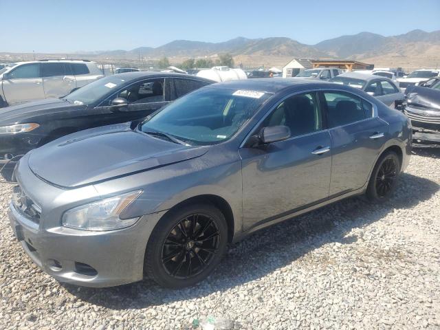  NISSAN MAXIMA 2014 Gray