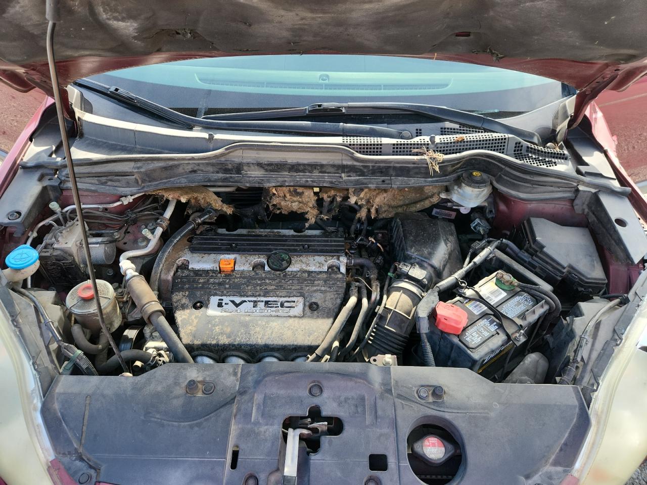 2008 Honda Cr-V Ex VIN: 5J6RE38538L002288 Lot: 65169885