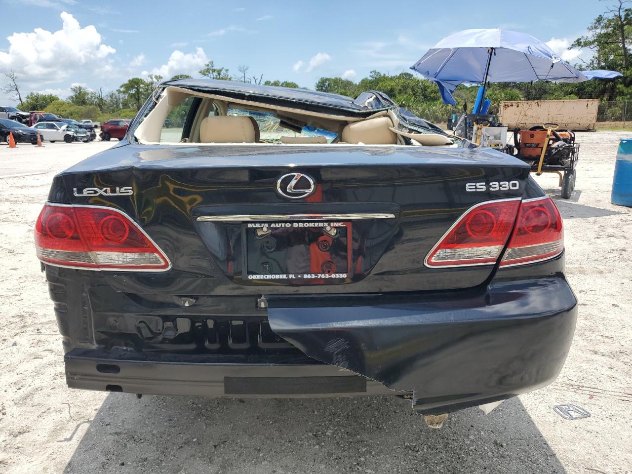 2006 Lexus Es 330 VIN: JTHBA30G865170685 Lot: 64948045