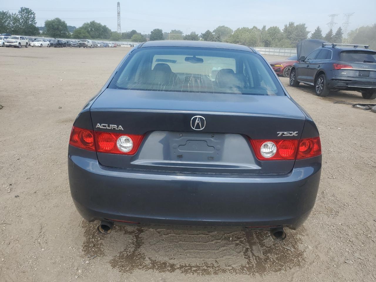 2004 Acura Tsx VIN: JH4CL96844C007638 Lot: 65553365