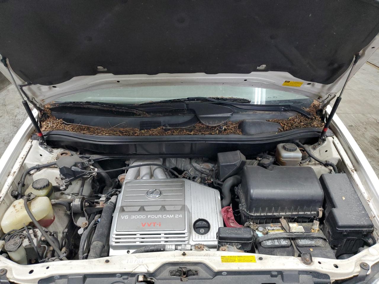 2001 Lexus Rx 300 VIN: JTJHF10U710175967 Lot: 65219165