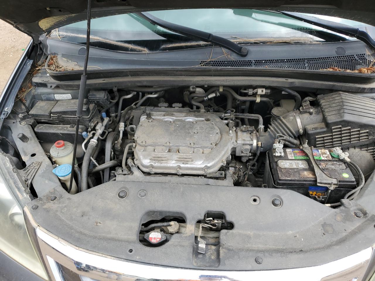 2010 Honda Odyssey Exl VIN: 5FNRL3H74AB026539 Lot: 65072105