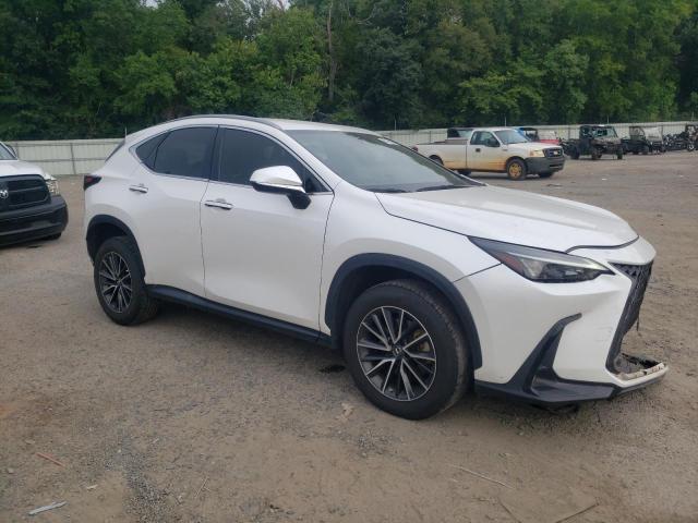  LEXUS NX 250 2023 Белы
