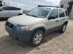 2005 FORD ESCAPE XLT   for sale at Copart AB - EDMONTON
