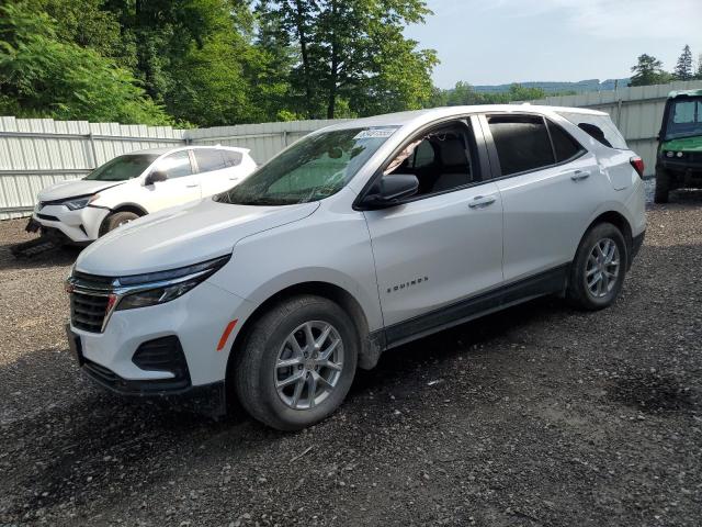 CHEVROLET EQUINOX LS 2024