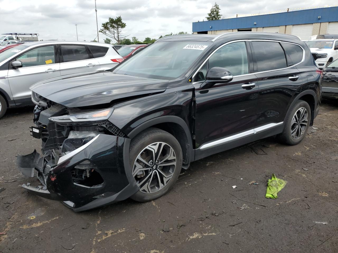 2020 Hyundai Santa Fe Sel VIN: 5NMS3CAA5LH273559 Lot: 66324575